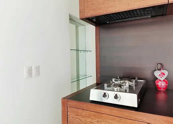 Terrazza Petruzzelli Apartment